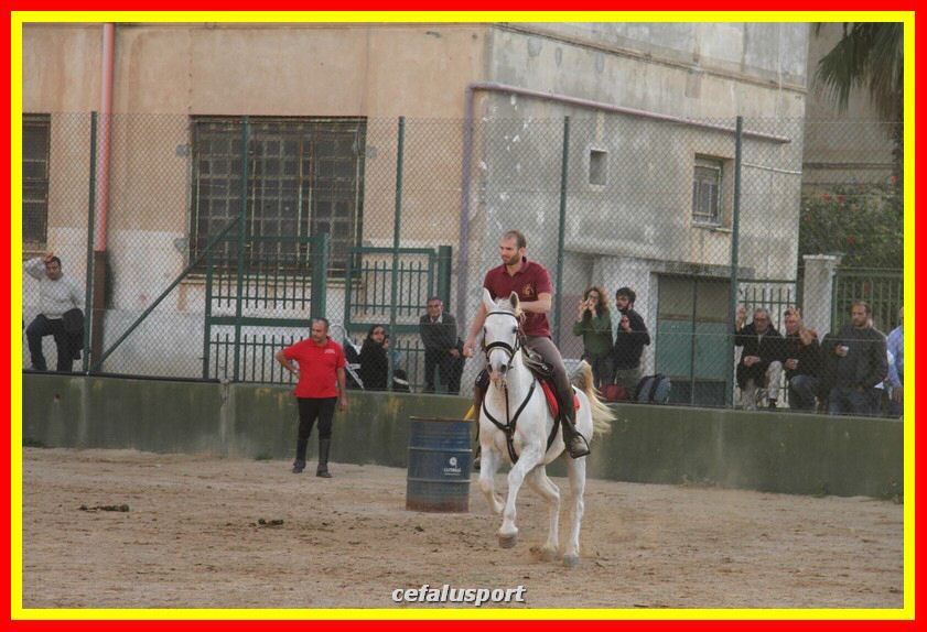 161106 equestre 016_tn.jpg